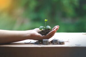 Sustentabilidade Financeira: Caminhos para um Futuro Econômico Seguro