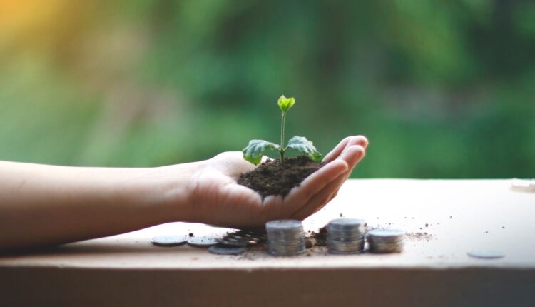 Sustentabilidade Financeira: Caminhos para um Futuro Econômico Seguro